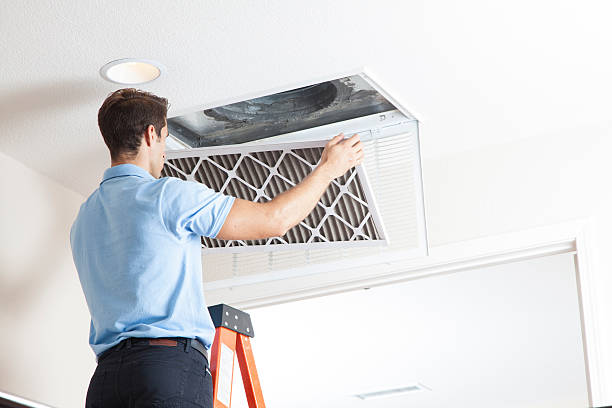 Best Air Filters and Purifiers in Iron Mountain, MI